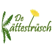 293191310_454747293322263_1807230571889424726_n